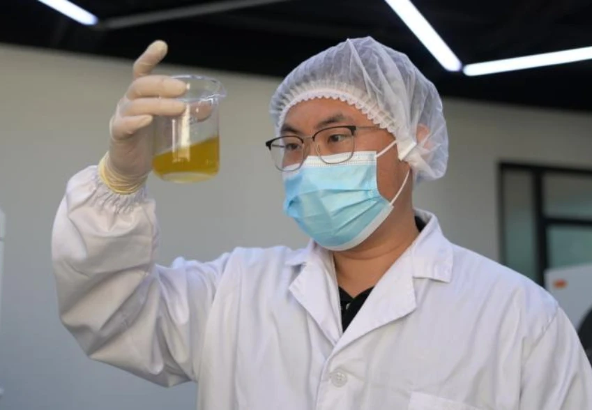 Research and Development Department (R&D)
