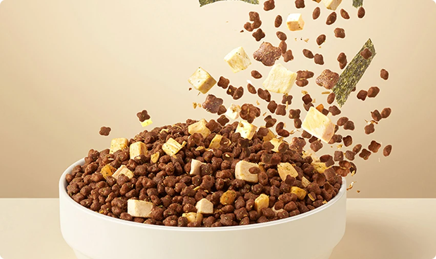 Solutions for Pet Food Manufacturing